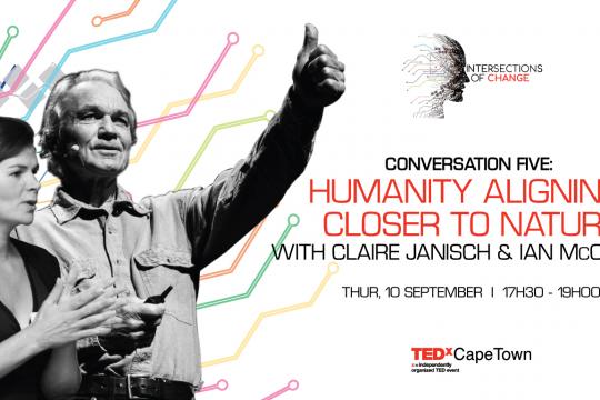 TEDxCapeTown Digital series, Virtual events